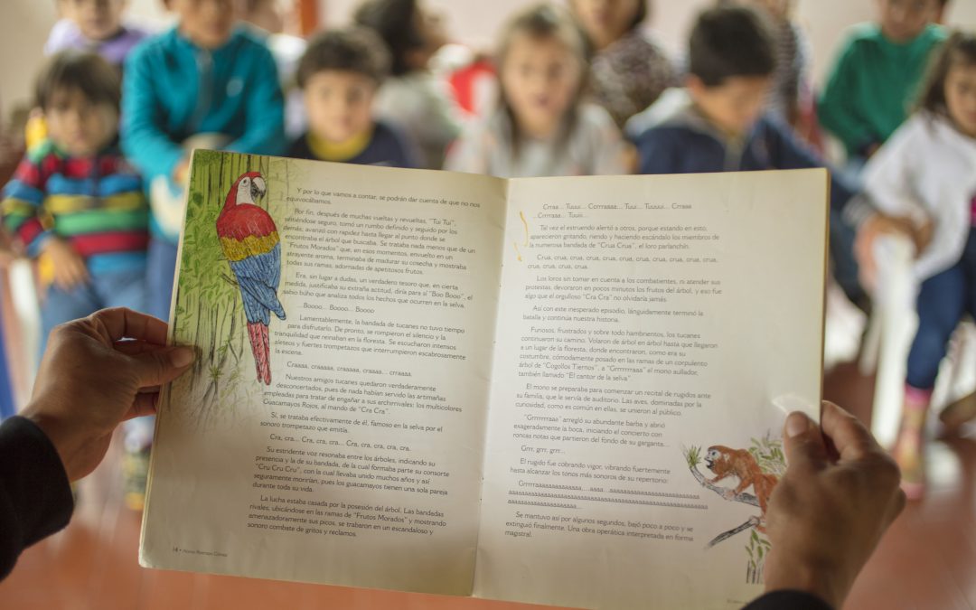 Programa Aflora: la labor de las organizaciones sociales en Colombia merece ser apoyada y reconocida.