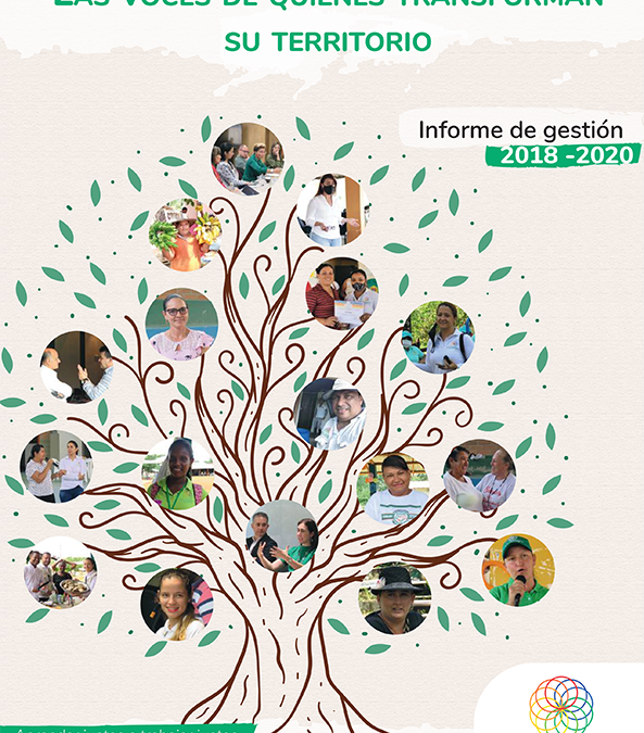 Informe de Gestión 2020