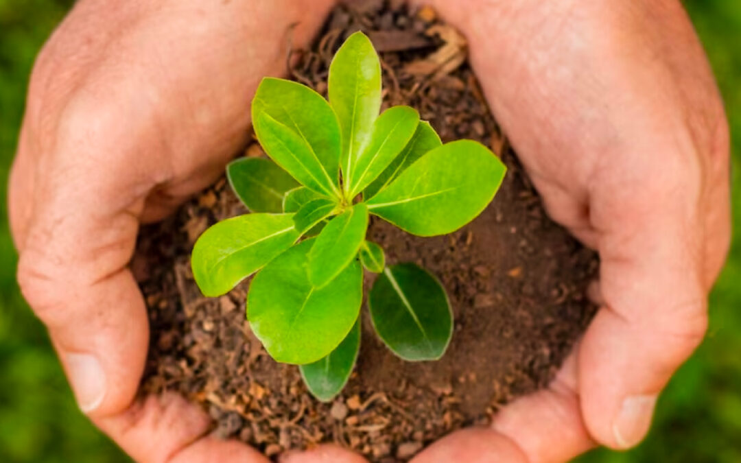 Proyecto de Ley 007 2022