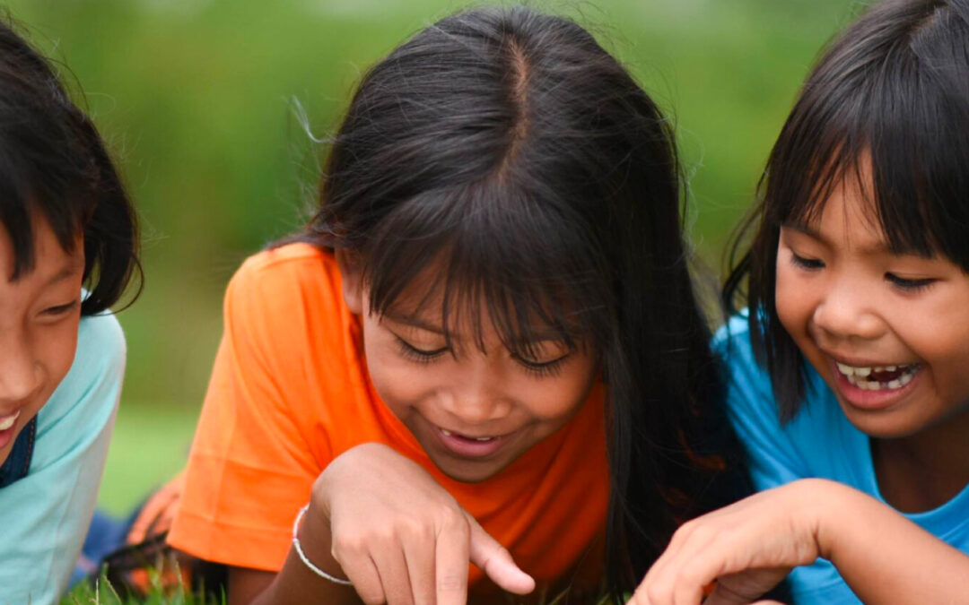 Proyecto de Ley 193 2022: Educación Rural