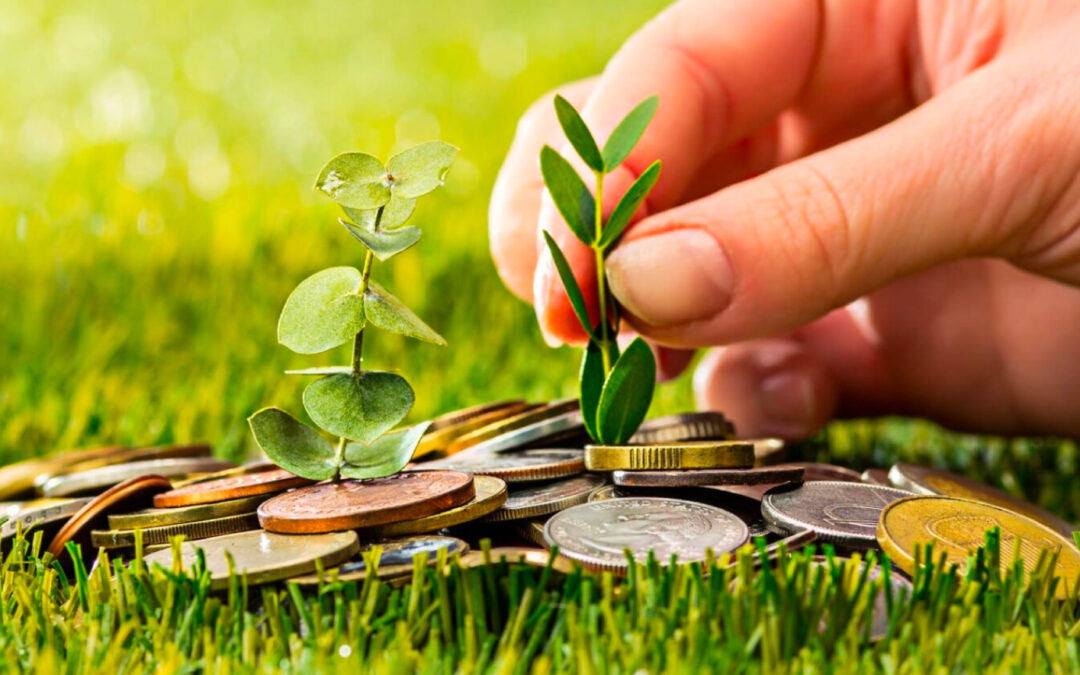 Proyecto de Ley 111 2022