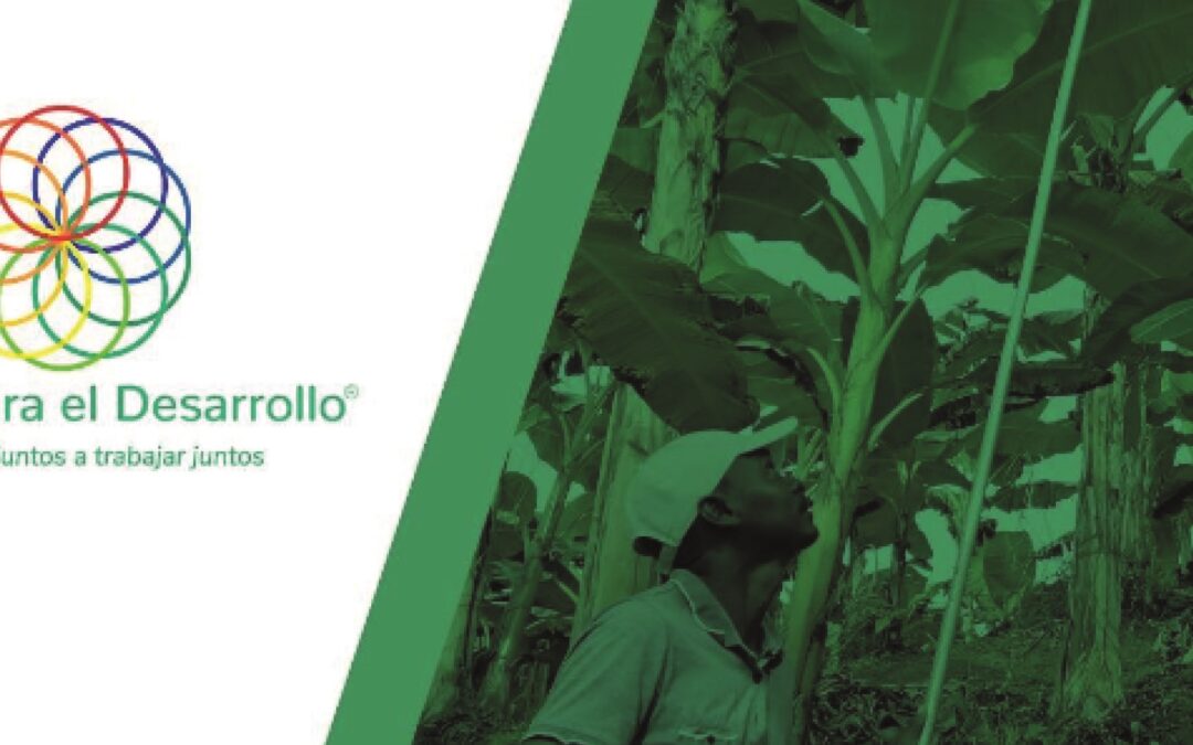 Alianza para el Desarrollo, una fuerza social que transforma territorios
