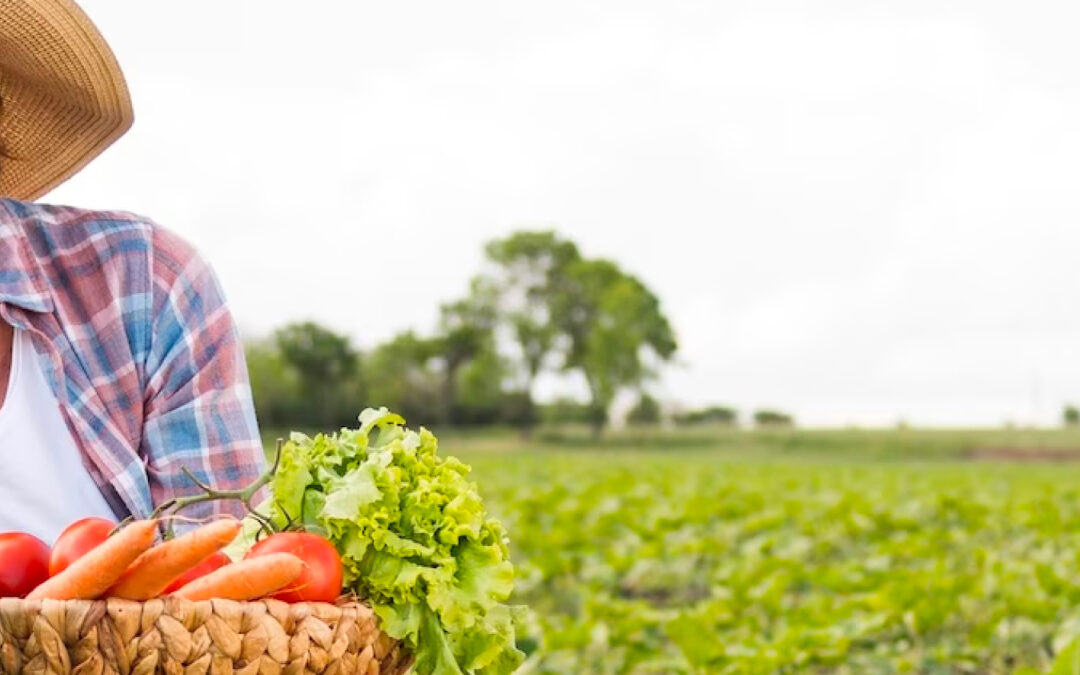 Proyecto de Ley 180 2022