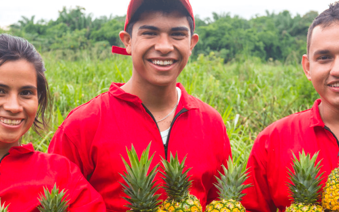 La AFE visita Proyecto Utopía
