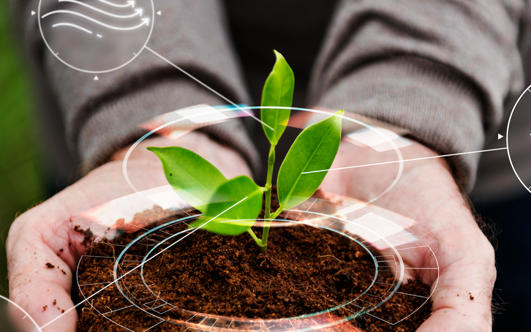 Corporación Interactuar como exploradores con conciencia ambiental