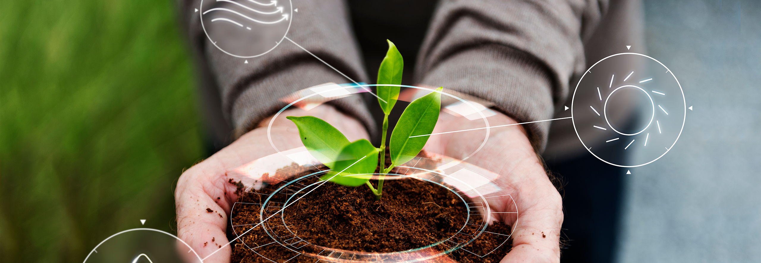 ambiente interactuar