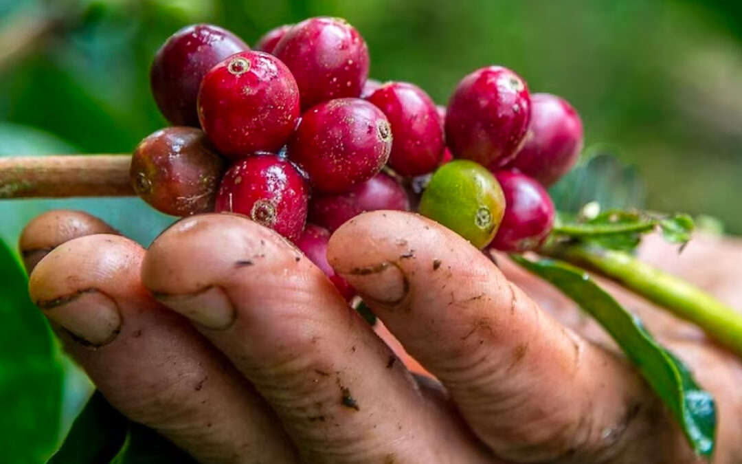 Proyecto de Ley 229 de 2022