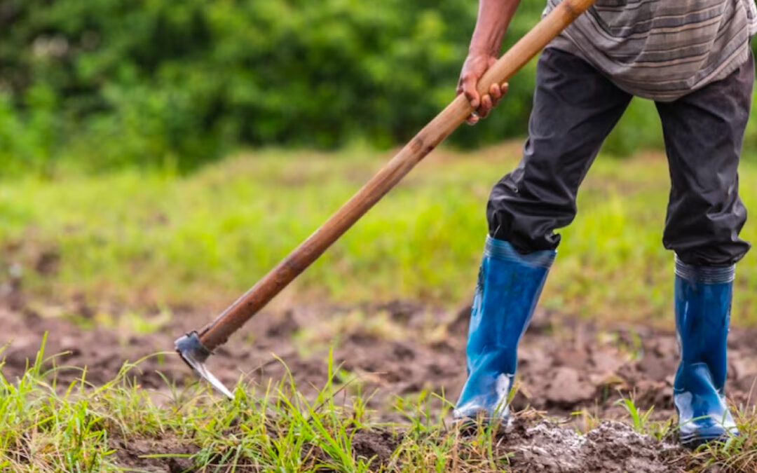 Proyecto de Ley 254 de 2022