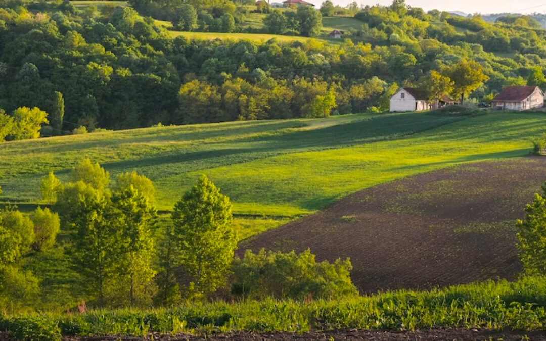 Proyecto de Ley 265 de 2022