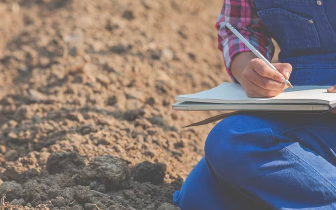 Proyecto de Ley 291 de 2023