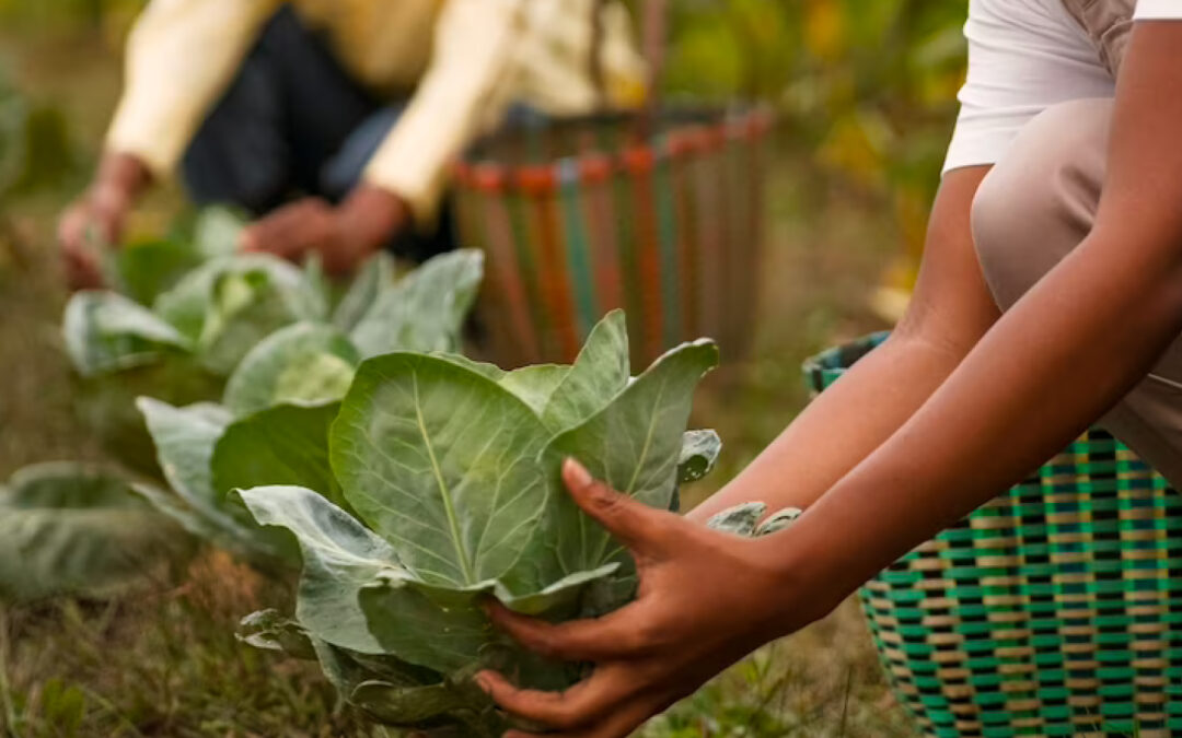 Proyecto de Ley 300 de 2022