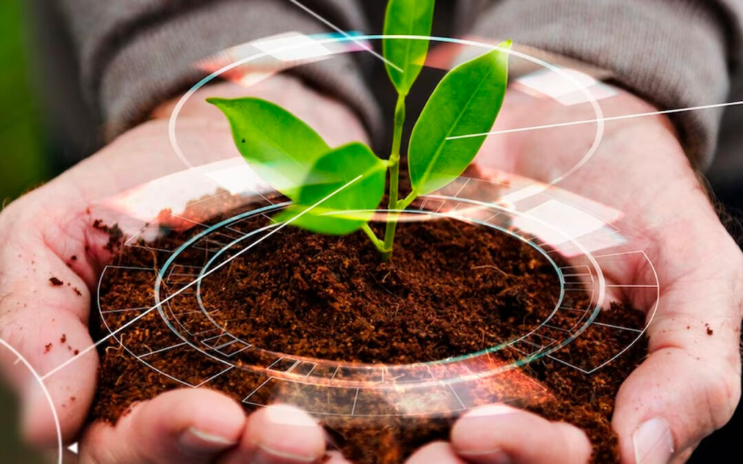 Proyecto de Ley 364 de 2023