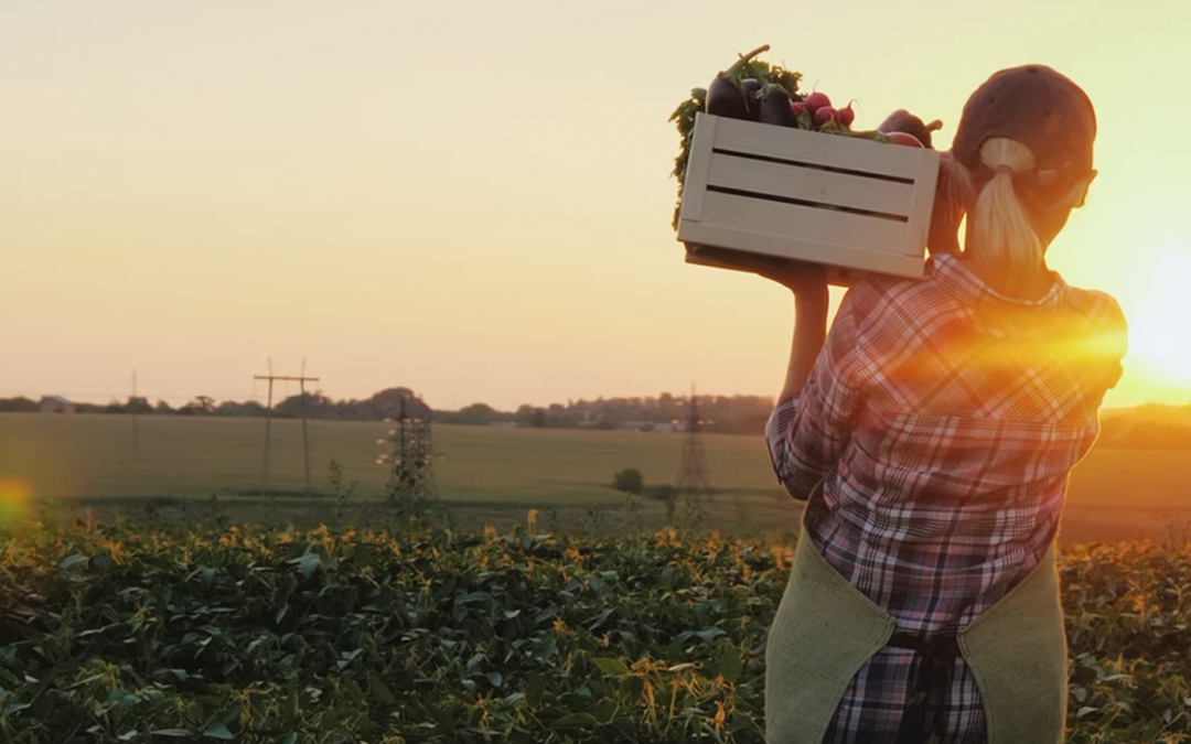 Ruta del Emprendedor, el programa de Fundación Acesco para acompañar a los pequeños emprendedores en zonas rurales