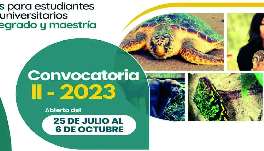 Estudiante de U. de Ibagué gana beca nacional de Biodiversidad