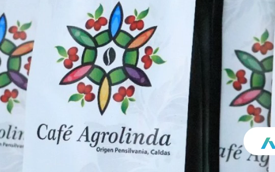 Agrolinda, campeones del sabor en Café Fest Manizales 2025 – Un triunfo que celebra el trabajo colectivo y el impacto del acompañamiento rural