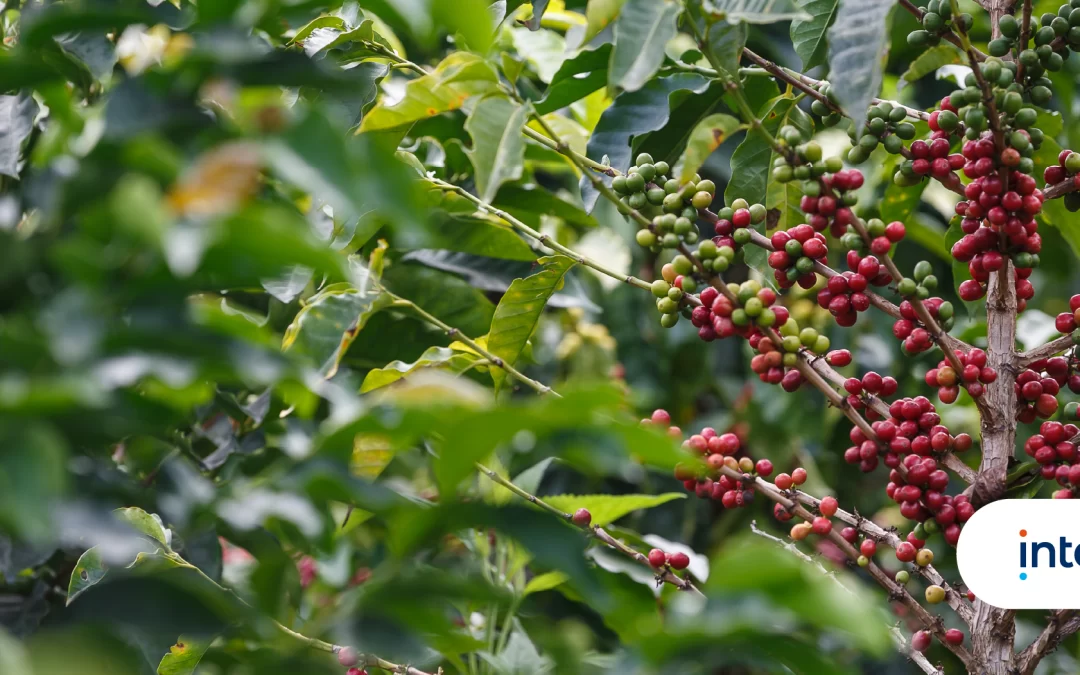 Así funciona nuestro laboratorio vivo de microempresas sostenibles en Antioquia