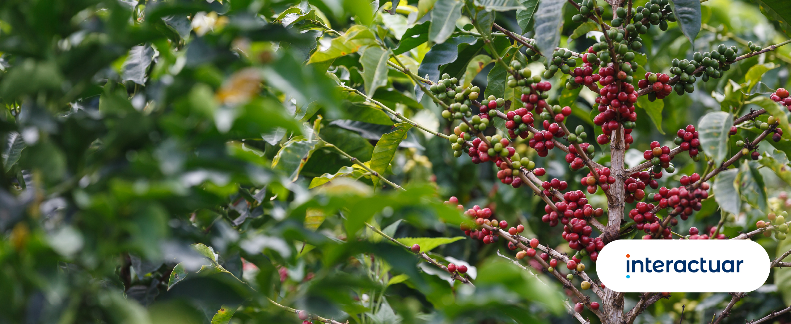 Mesa de trabajo 2878998
