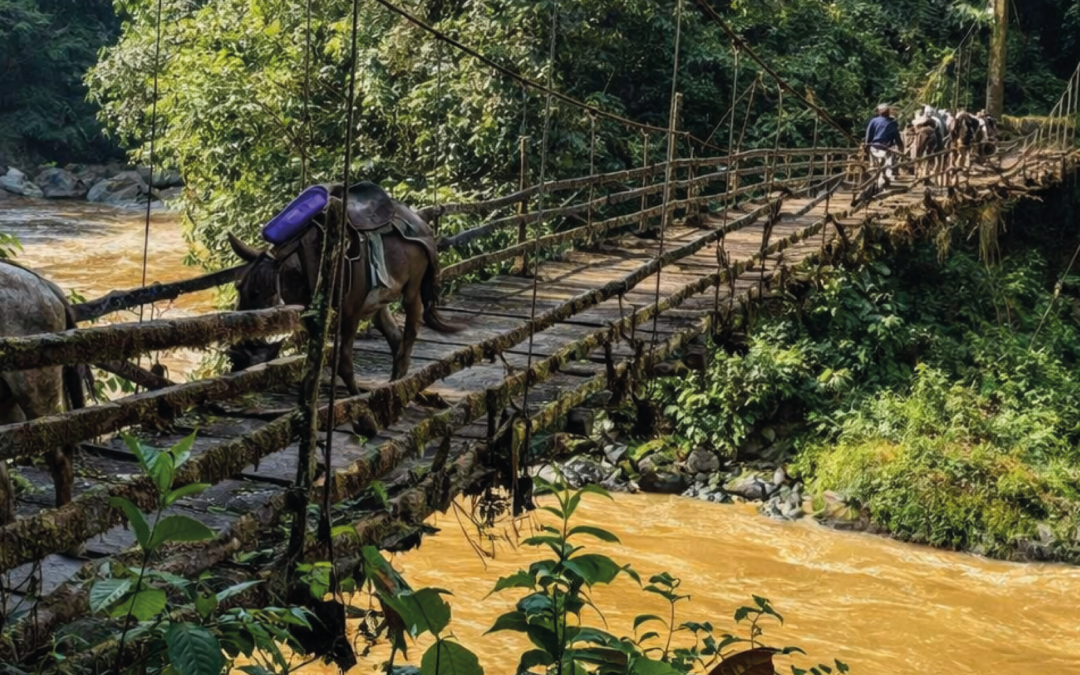 Un puente para volver a cruzar sin miedo