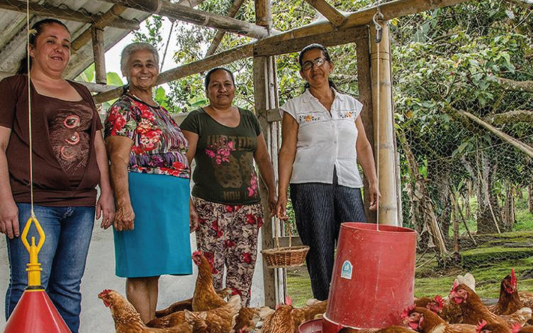 Reconocimientos territoriales de la Fundación Alpina en 2025