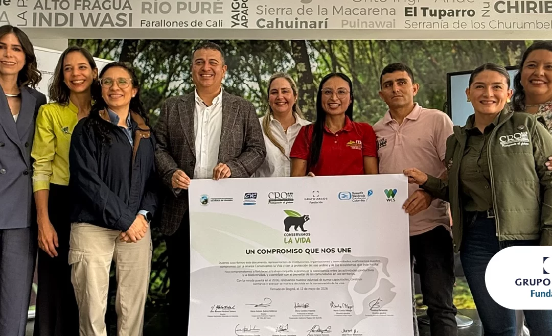 Una década protegiendo al oso andino en Colombia: Conservamos la Vida presenta resultados y plan estratégico a 2030