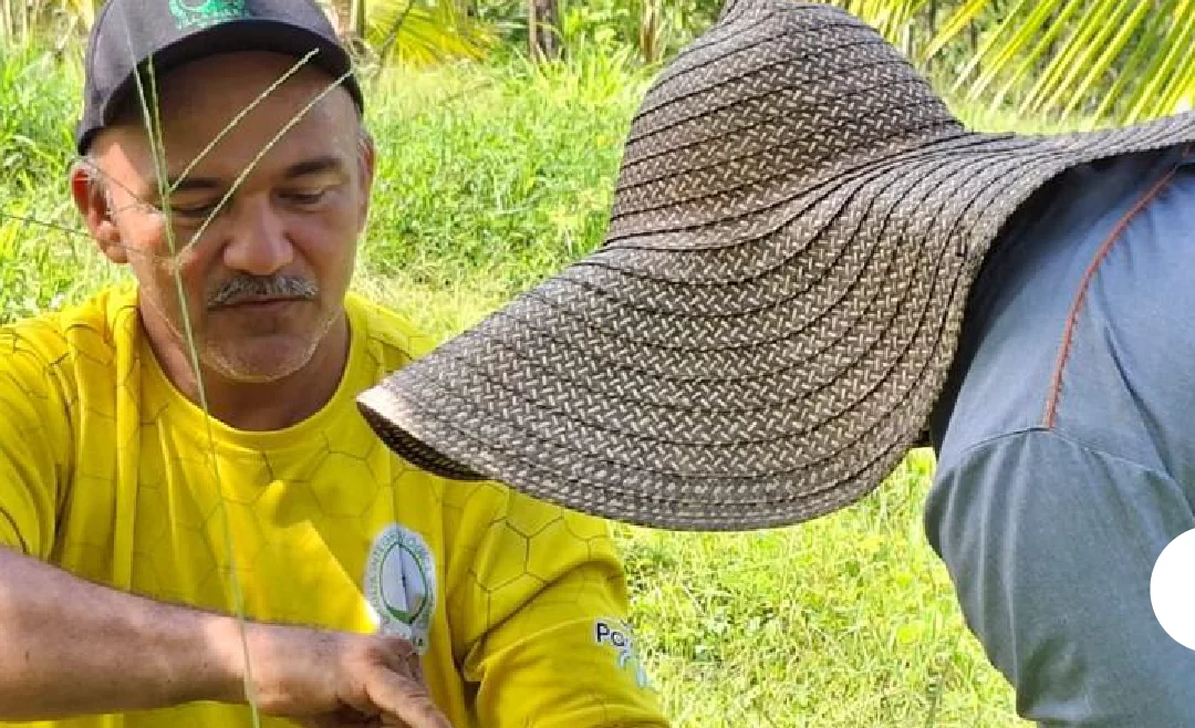 Urabá fortalece su tejido empresarial para conectarse con las nuevas oportunidades de la región